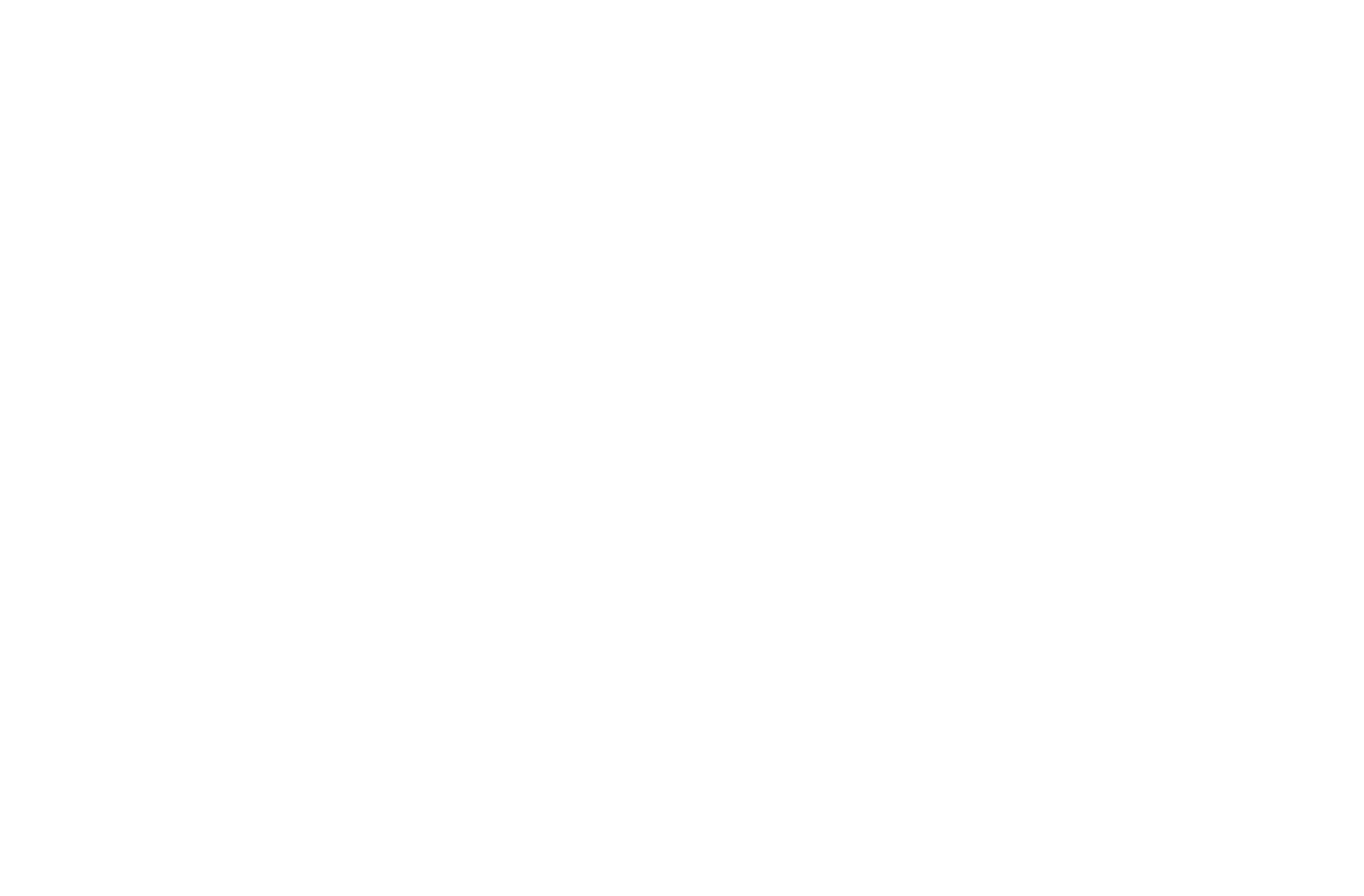 ICON / Films